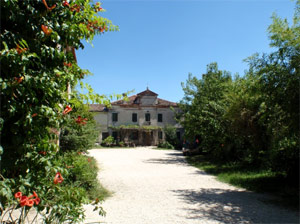 Altaura - Fattoria a Casale di Scodosia